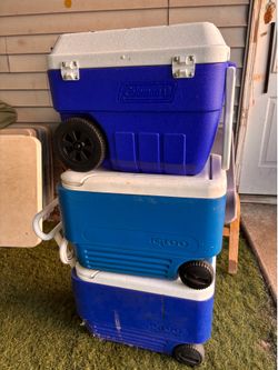 Assorted of coolers different capacities.