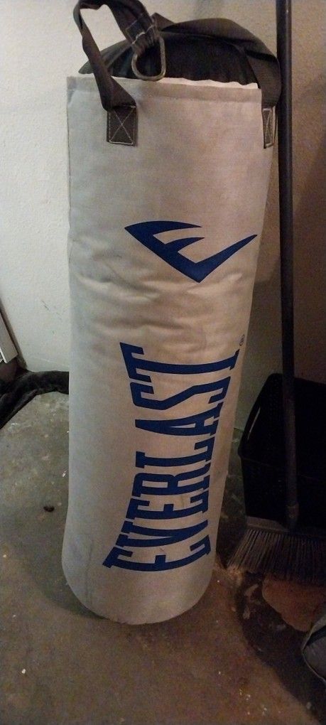 Everlast Punching Bag