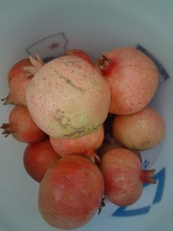 Pomegranate organic