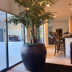 Huge Artificial Palm