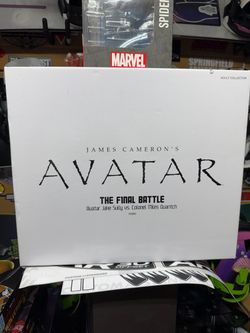 Brand new Avatar the final battle
