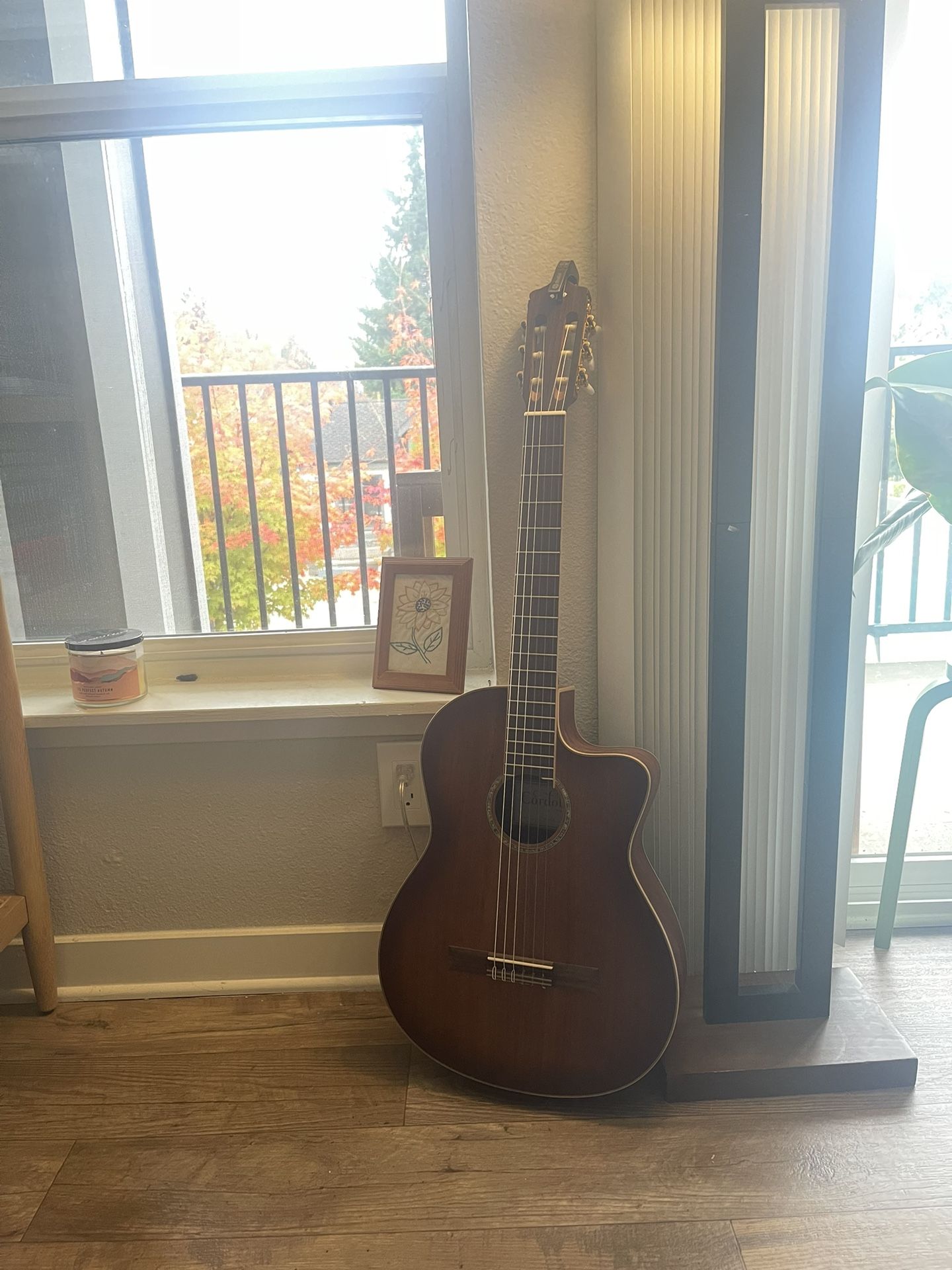 Cordoba C4-CE Classical Acoustic-Electric Guitar