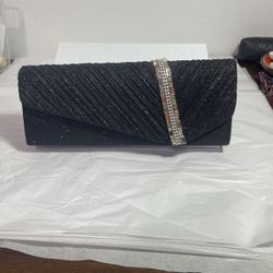 Sparkly Clutch 