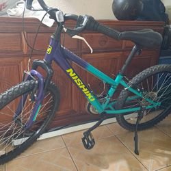 Nishiki Boys/young Adult Excellent Condition Bike. New Tires Gears And Brakes Work Great.