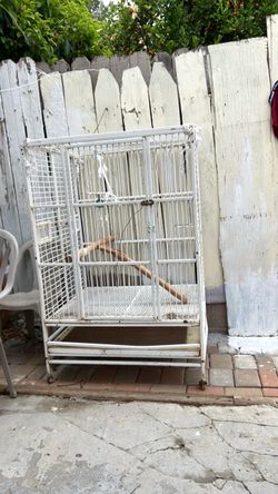 Bird cage