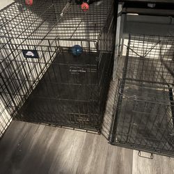 Xxl Kennel ($50) And Medium ($25)