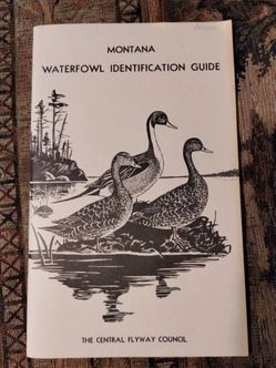 Vintage 1962 Montana Waterfowl Identification Guide, illustrated, 55 pages