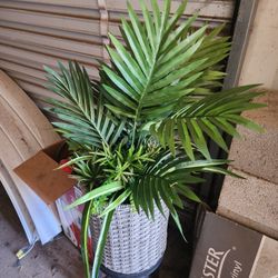 Artificial Plant 