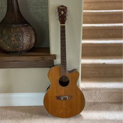 Washburn WG26sce