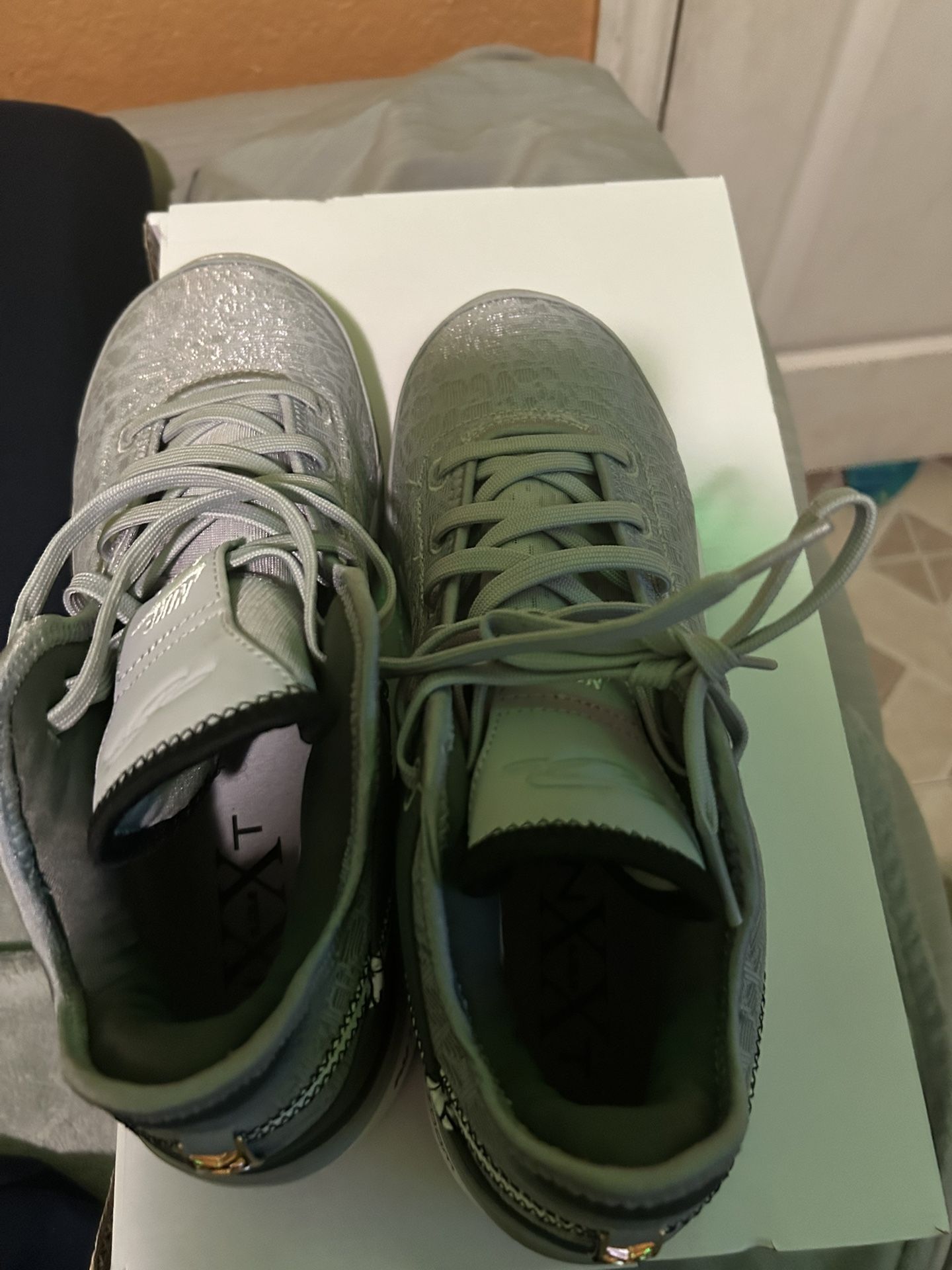 Zoom Lebron NXXT Gen Size 10.5