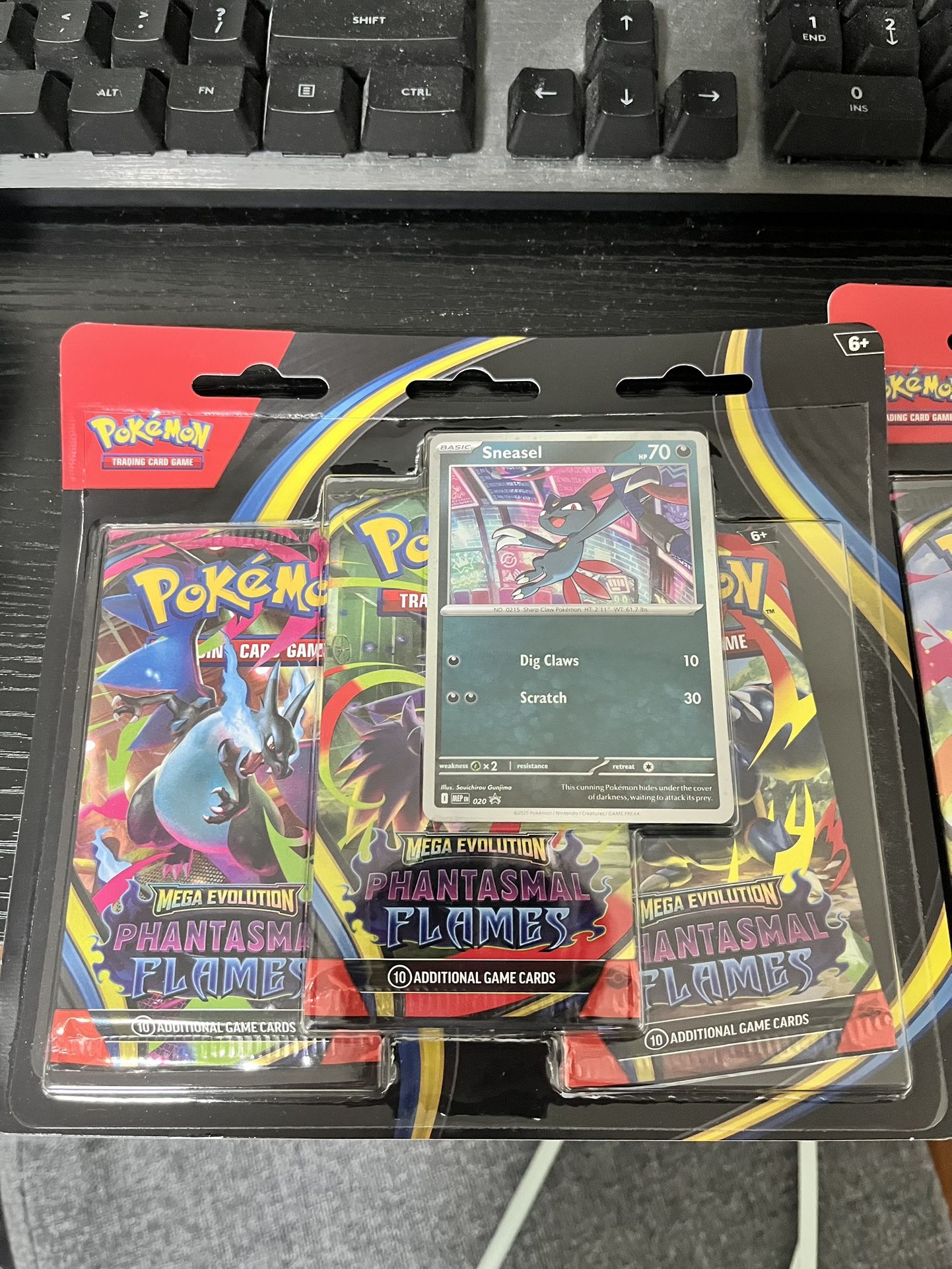 Pokemon Phantasmal Flames Blister