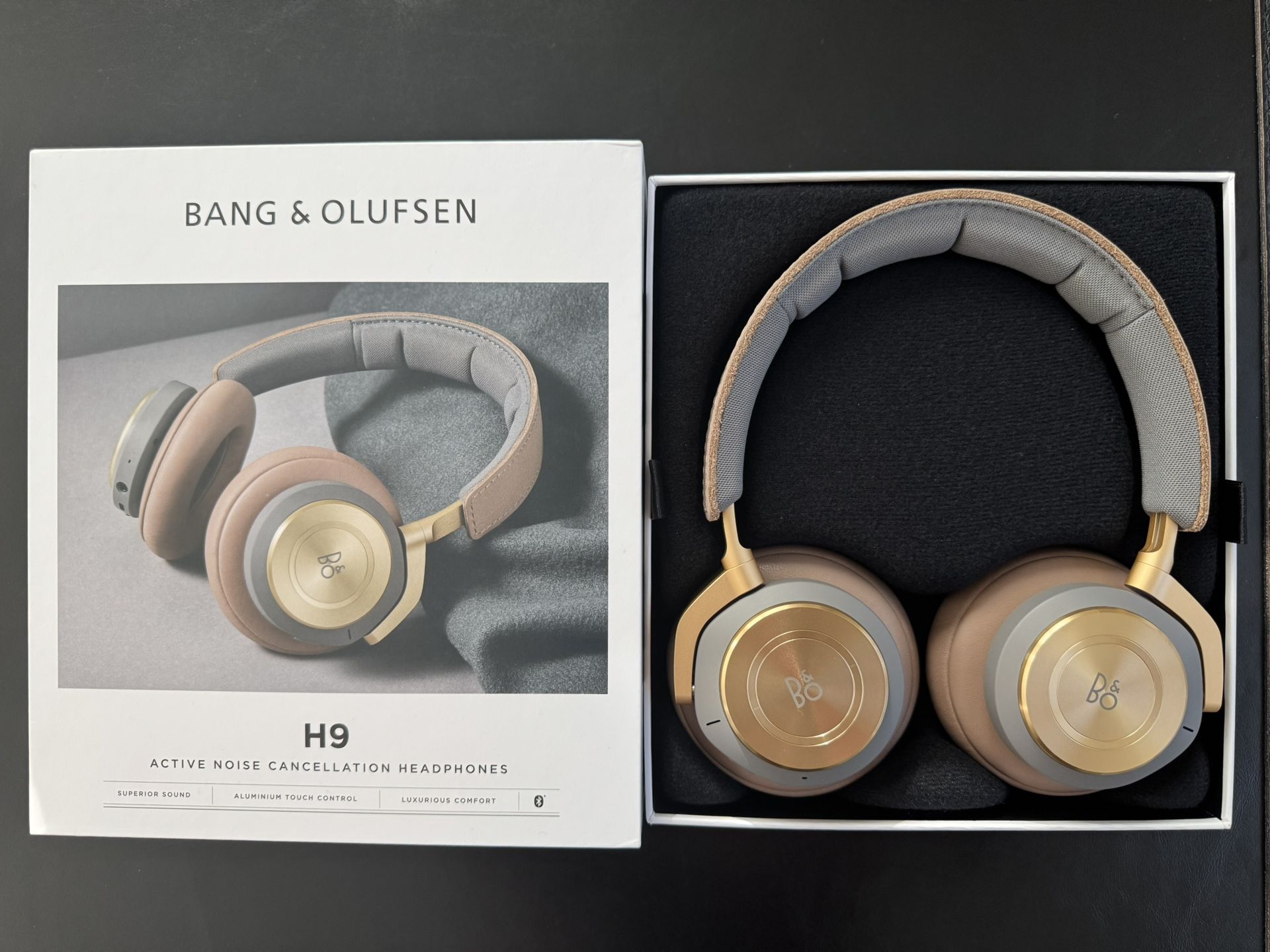 Bang & Olufsen Beoplay H9 3rd Gen Argilla Bright Headphones