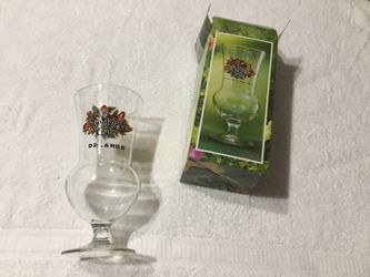 Rainforest Cafe Orlando Souvenir Glass