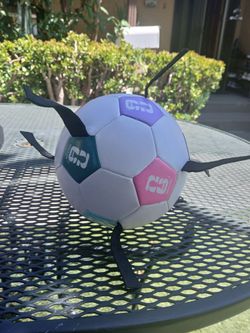 2026 Fifa World Cup Soccer Ball Dog Toy