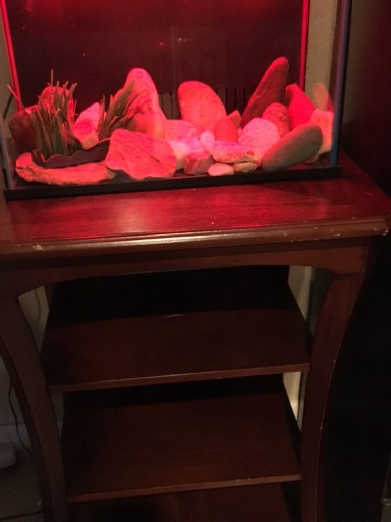 Fish Tank with Table