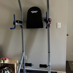 Fitness Gear pro power tower