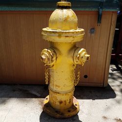 Antique fire hydrants