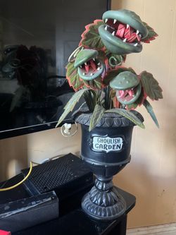 Halloween Decor