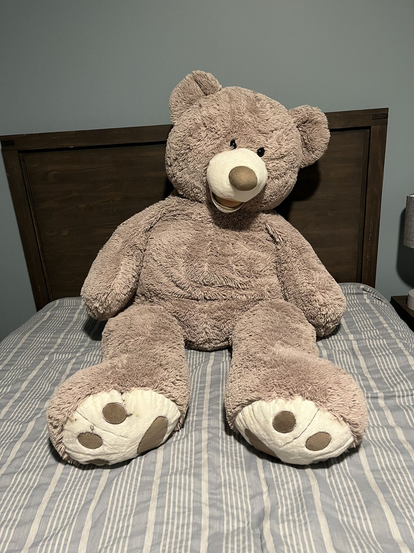 Giant Teddy Bear