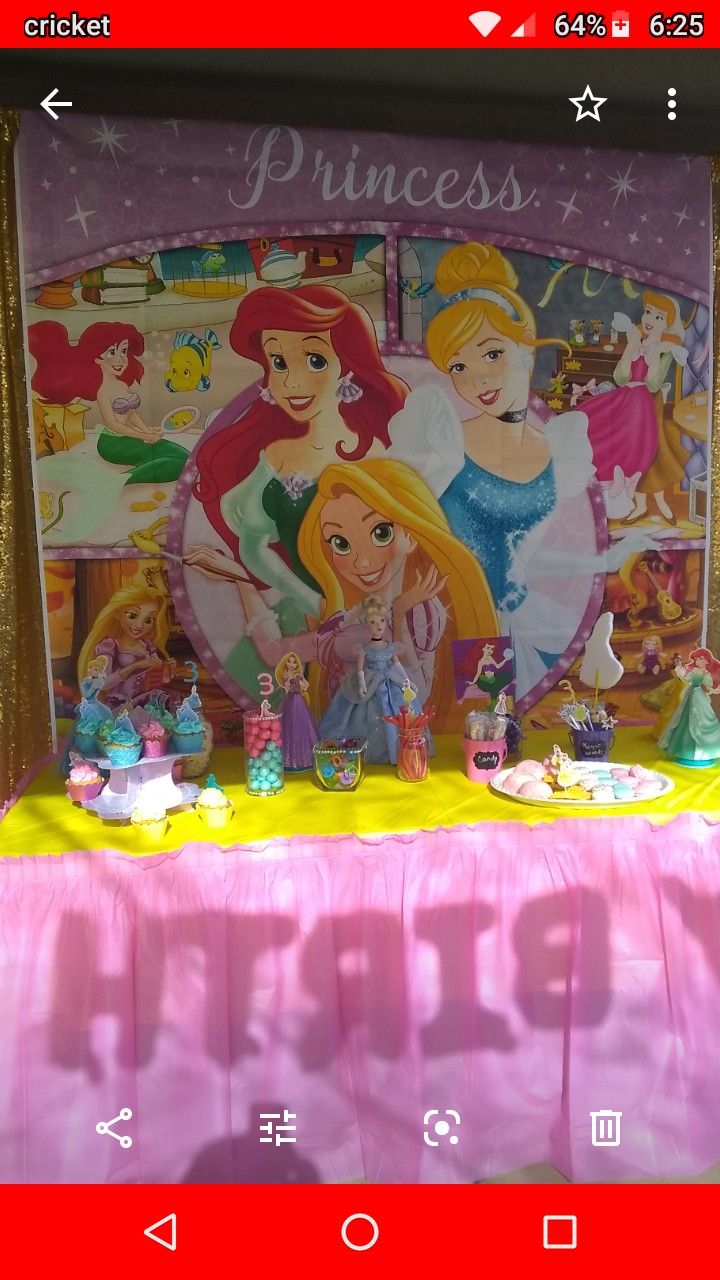 Disney Princess Party decorations