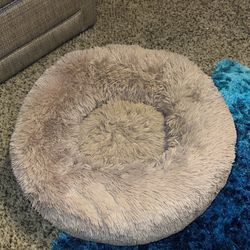 Pet Bed 