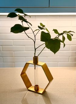 2 hexagonal golden modern vases