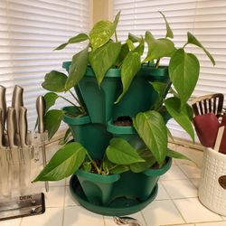 Tiered Planter