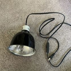 Aquarium Turtle Lamp