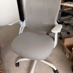 Ergonomic Office Chair