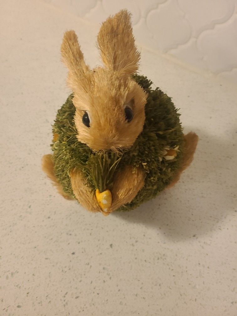 Grass Bunny