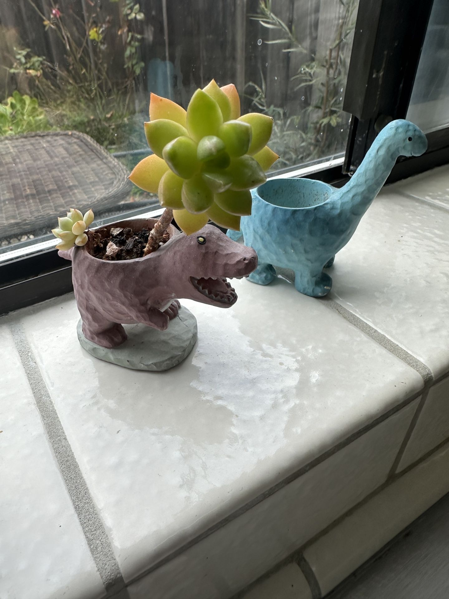 Dinosaur Plant Holder 