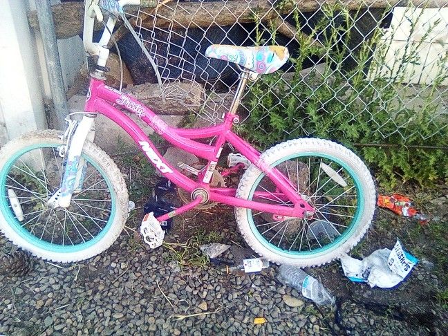  A Girls Bike For Free