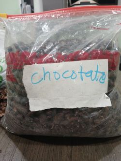 Cacao organico