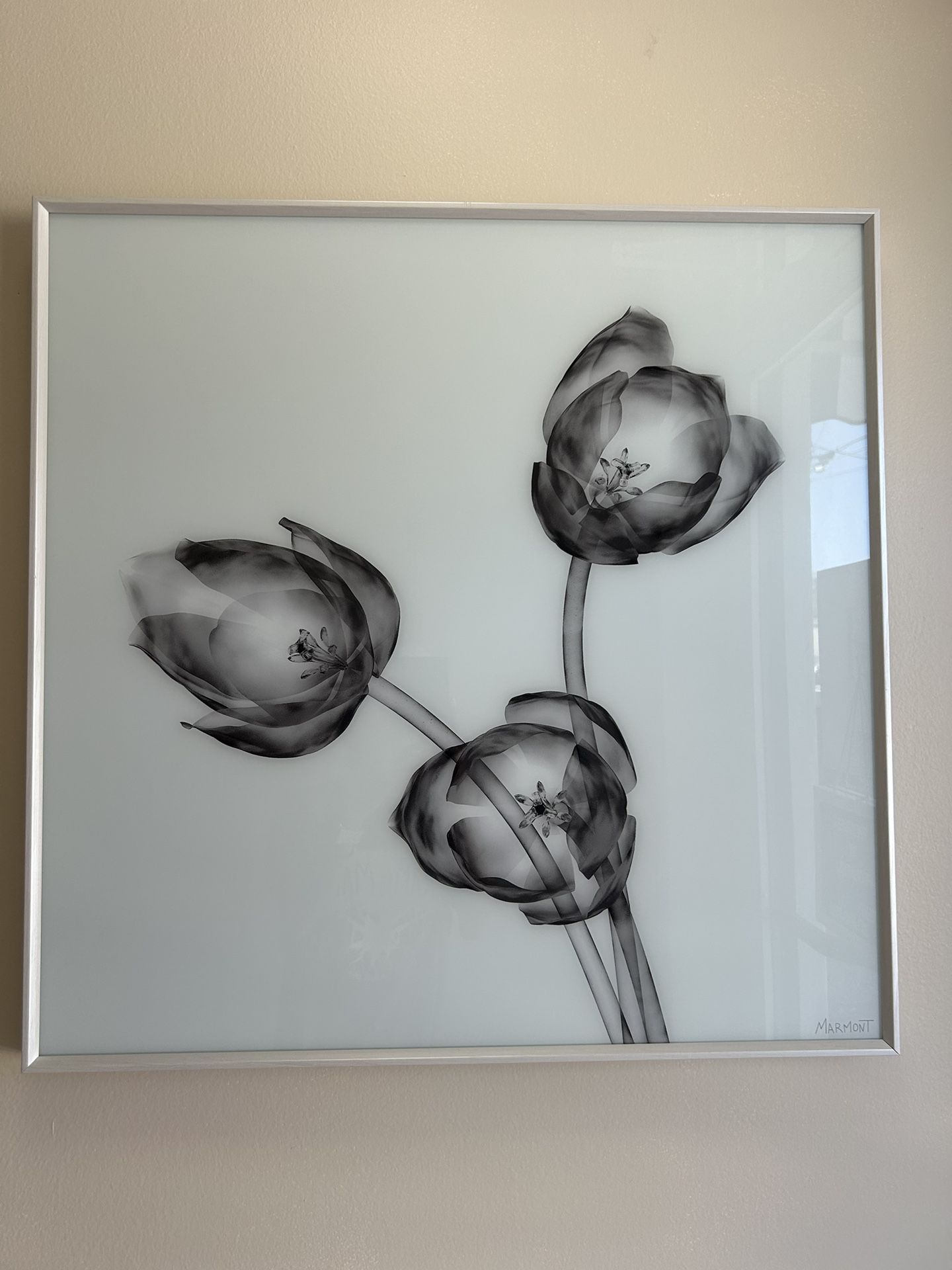 Modern Wall Art - 24” X 24”
