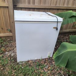Upright Freezer 