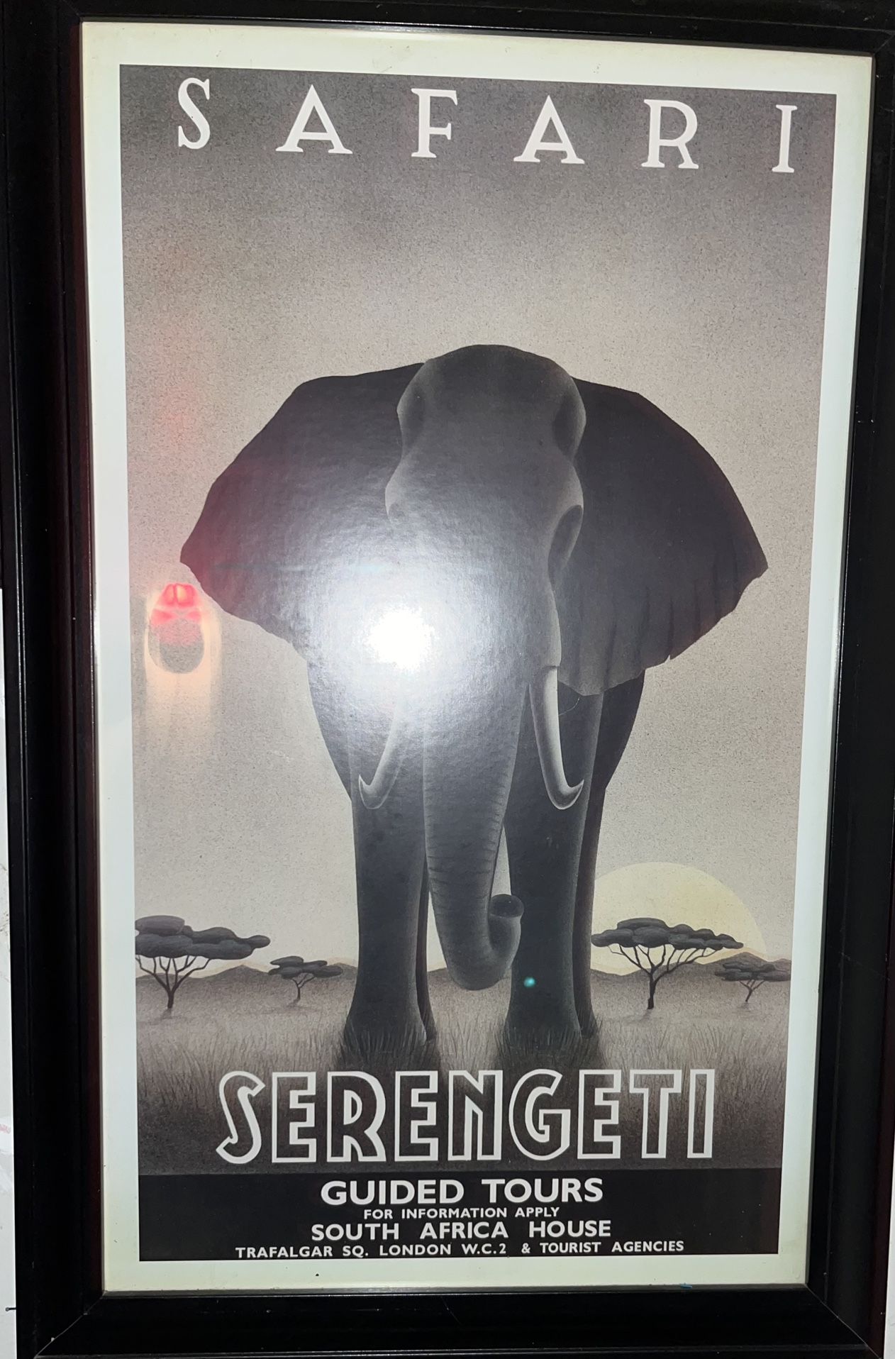 Serengeti Guided Tours