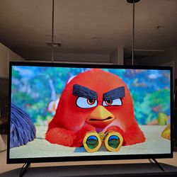 55" Vizio LED Smart TV
