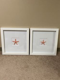 Wall Hung Framed Starfish Decorations