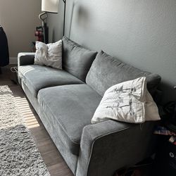 Home Goods Couch