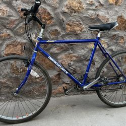 Diamondback Ascent Adventure Series bicycle