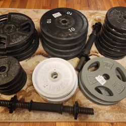 Weights 160lbs For Sale