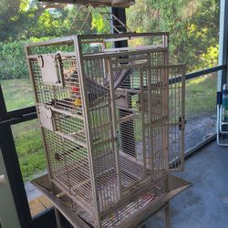 Bird Cage 