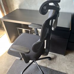 Ergonomic Office Chair