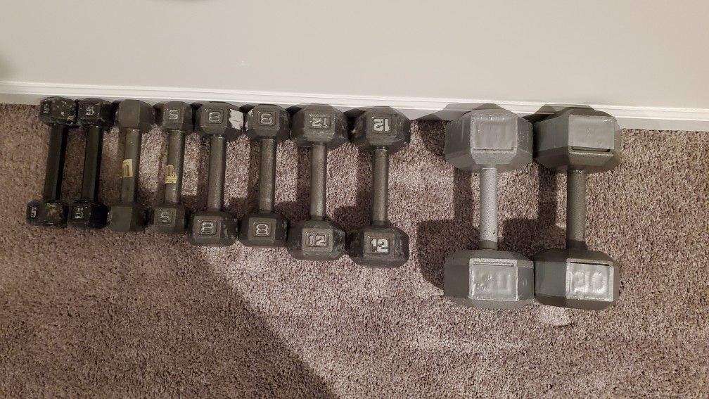 Free weights! $1.00 per pound! And more...