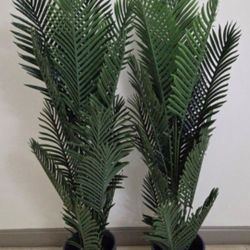 PAIR of 66" Faux Areca Palms in 12" (Diameter) Gray Planters (2 for $135) @ Lasting Creations 