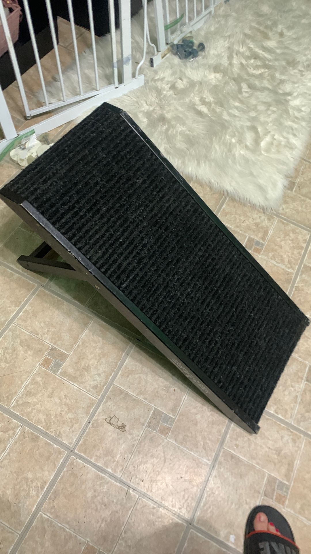 Black Dog Ramp