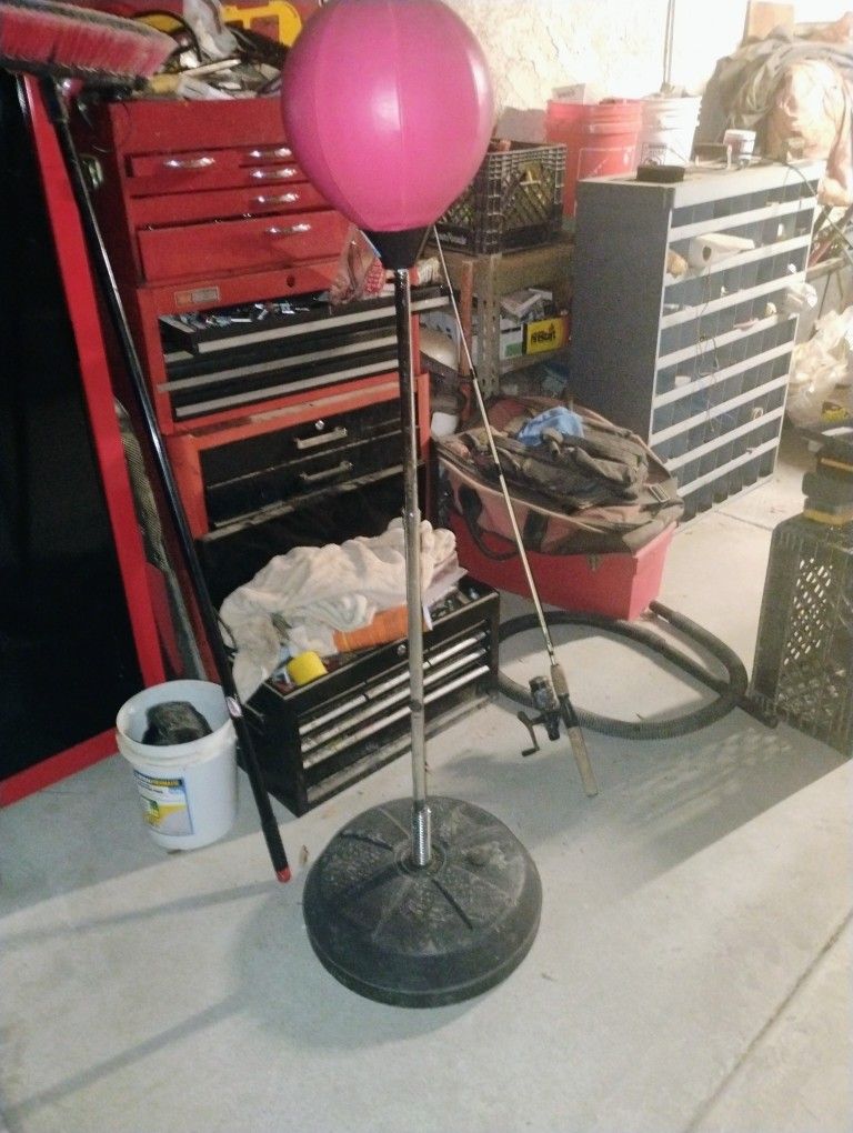 Training (Punching) Bag