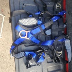 Safety Harness 