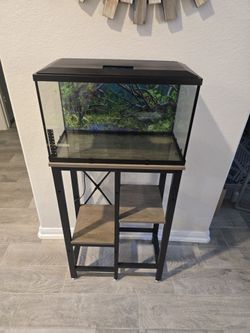 10 Gallon Aquarium, Stand, & Accessories