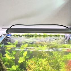 Aquarium Tank 